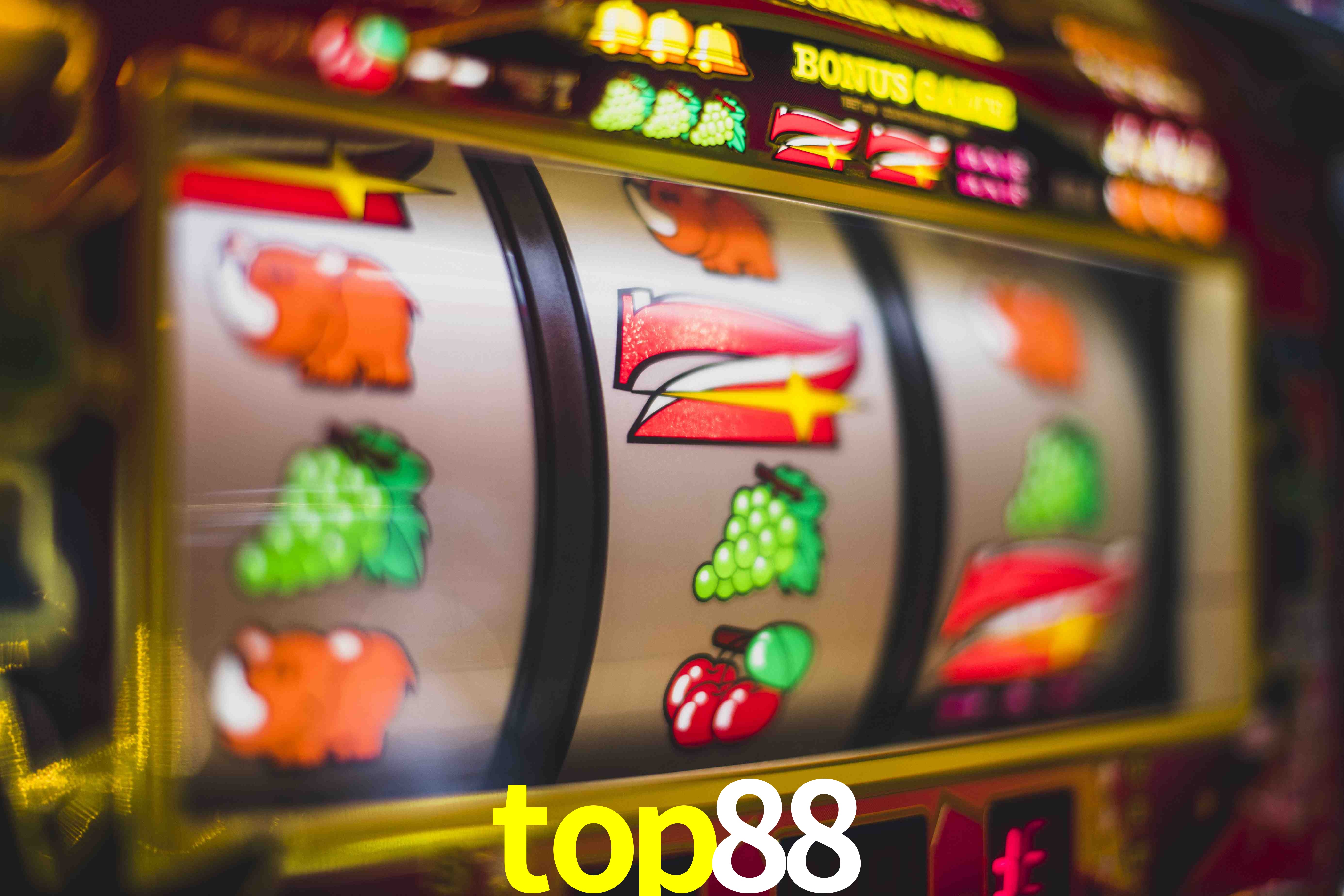 Statistics top88